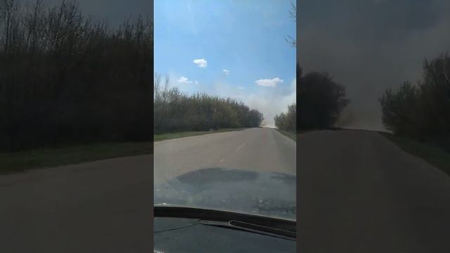 Пожар. Лес. Ленинск. Май 2019. смотреть онлайн