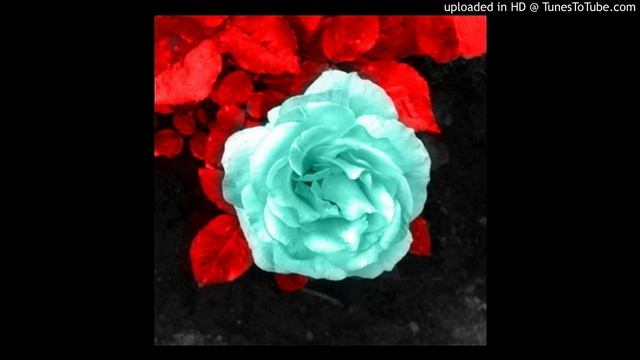 Роза инопланетянка (сказка-фантастика, читает автор) смотреть онлайн