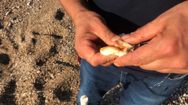 Турция. Как местные рыбу ловят? смотреть онлайн