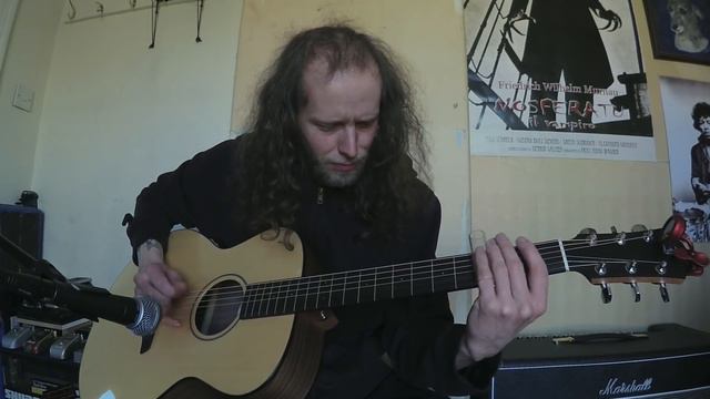 Furch Blue plus G-SW Acoustic Guitar смотреть онлайн