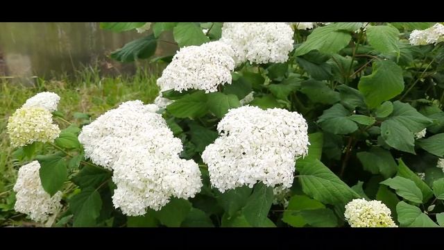 Покупки из Леонардо. Что я докупила для куклы. смотреть онлайн