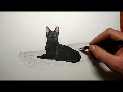 Как нарисовать Кошку смотреть онлайн