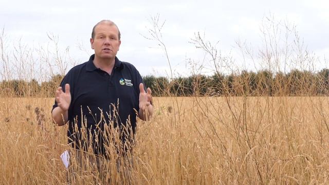 Soil health and improving the whole farm ecosystem with arable farmer Martin Lines in Cambridge смотреть онлайн