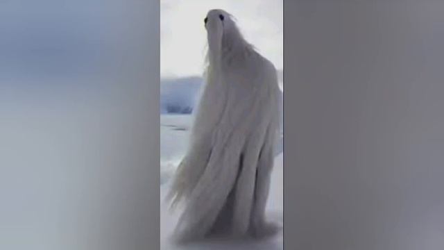 Мем из 2026 года что это такое?