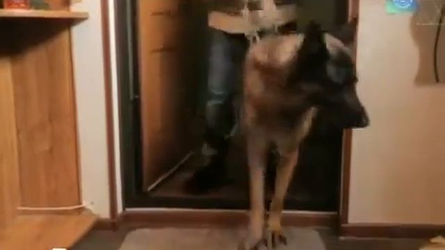 Супервпитывающий коврик смотреть онлайн