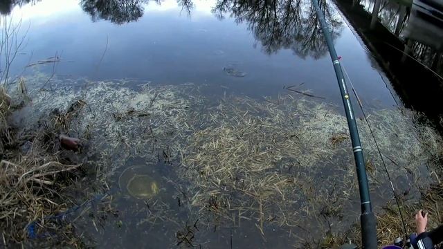 Рыбалка на Суле. Утренний клёв в Лукимьи смотреть онлайн