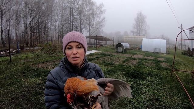 Убрать нельзя помиловать / Где ставить запятую? смотреть онлайн