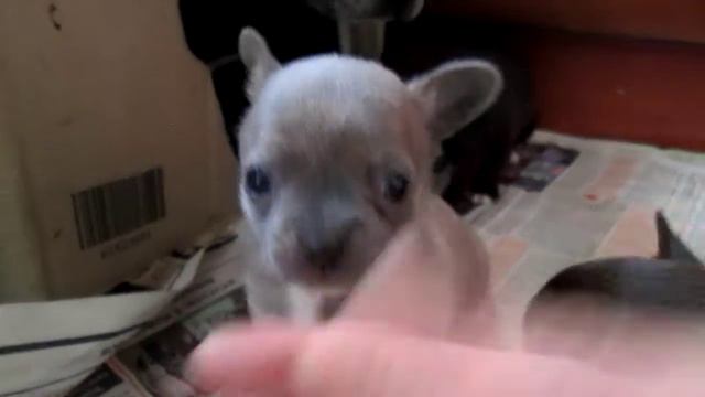 нам завтра месяц! смотреть онлайн