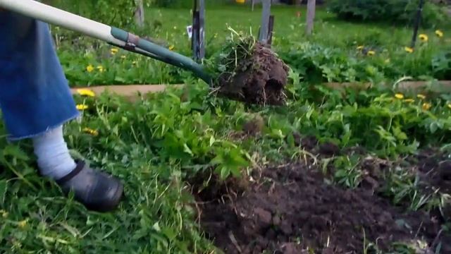 Мои вилы для вскапывания огорода смотреть онлайн