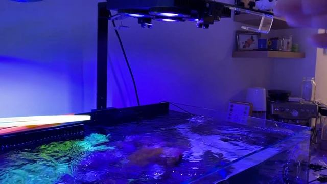 New Reef Tank Build - Unboxing/Review - Illumagic X4 Vitamini LED Bar смотреть онлайн