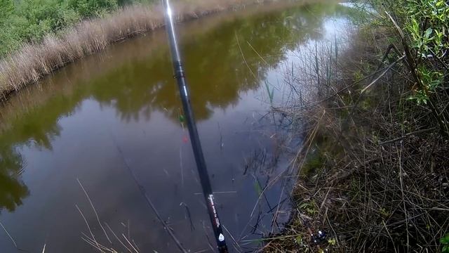 Ловля карася. Сработала кормушка. смотреть онлайн