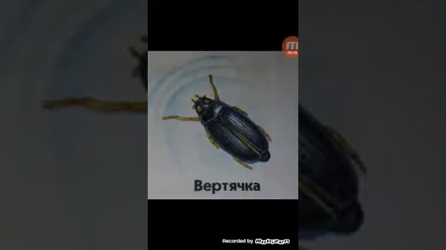 Всё о вертячке смотреть онлайн
