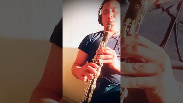 Kirpiklerimden Süzülen Eşqim / Barat Abdullayev - Piano & Clarinet смотреть онлайн