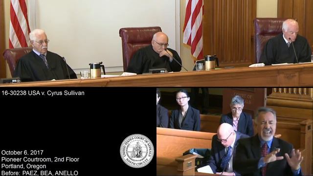 16-30238 USA v. Cyrus Sullivan смотреть онлайн