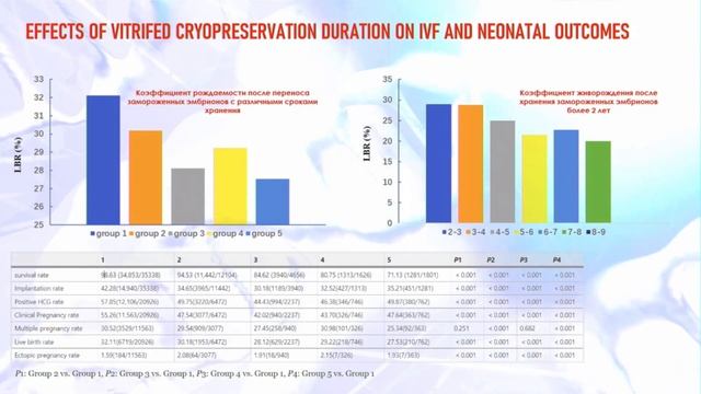 Медленное vs быстрое замораживание эмбрионов смотреть онлайн