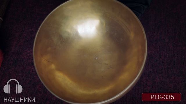 PLG 335 смотреть онлайн