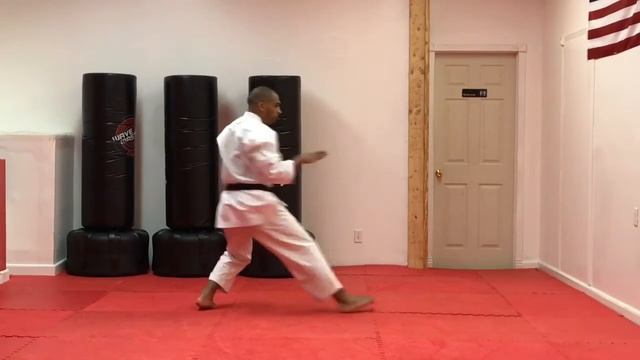 Empi (Half Speed)- Shotokan Kata by Brandon Abdullah смотреть онлайн