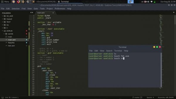 // Язык Ассемблера #4 [FASM, Linux, x86-64] //