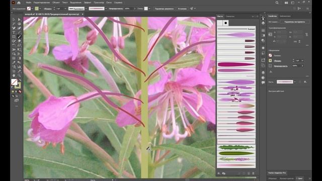 Adobe Illustrator. Создание кистей иван-чая смотреть онлайн