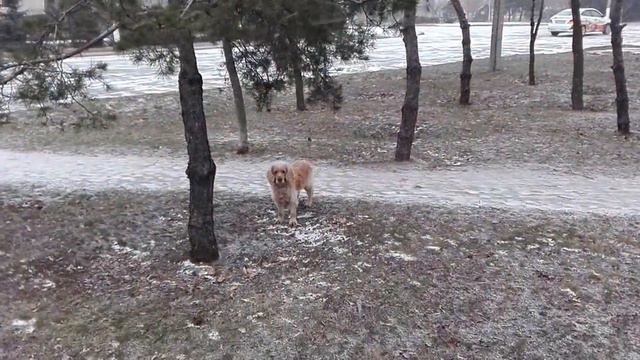 Комсомольск на Днепре. Погода хорошая, весенняя)))20.03.2016г. смотреть онлайн