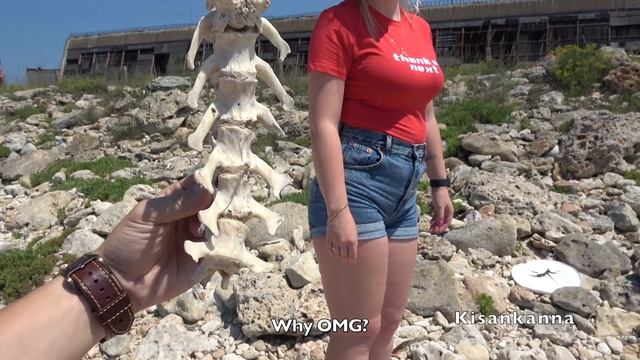 Запрещённый пляж возле военной базы! Это Севастополь Детка! / Forbidden beach near a military base! смотреть онлайн