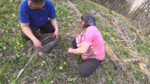 Майский поход в тайгу за колбой | Встретили дикого зверя | В тайге с женой и собаками