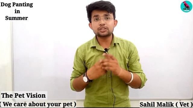 गर्मियों मे Dog का हांफना || Dog Panting In Summer || Heatstroke in dogs || Solution || Treatment | смотреть онлайн