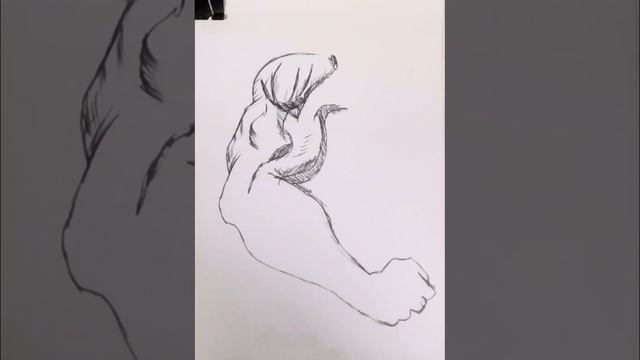How to draw arm #hand #arm #biceps #bodybuilding #bigarms #comics #easy #sketch #doodle #new #ai #f смотреть онлайн
