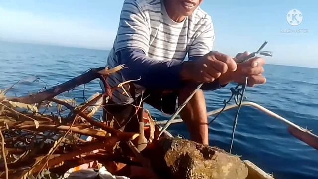 ang paggawa Ng padarawan sa pusit смотреть онлайн