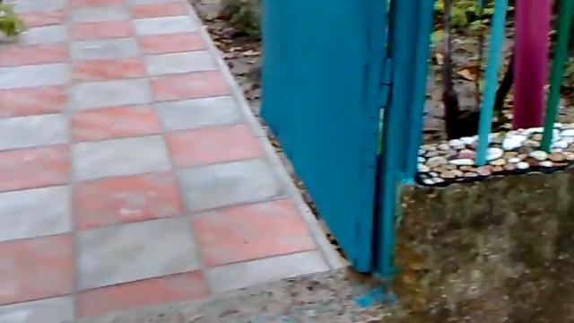 Дача утром смотреть онлайн