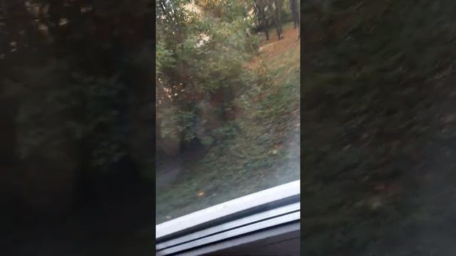 видео в Новый год не будет из-за отсутствия потому что у меня будет новый телефон и кучу подарков смотреть онлайн