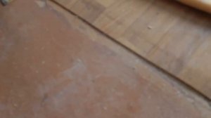 Демонтаж деревянного пола.