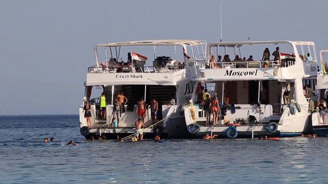 Club El Faraana Reef 4*. Бухта Ras Um El Sid. Egypt смотреть онлайн