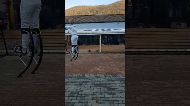 БОКИНГ ШОУ-ТЕАТРА "ЛОТОС" смотреть онлайн