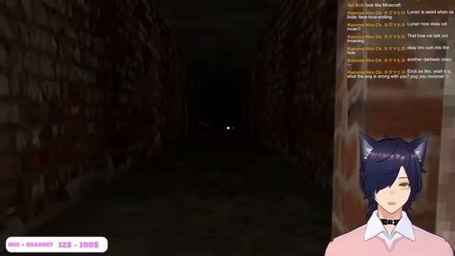 [ Horror game ] Scaredy Cat PLay Horror Game POg [ Lunarr ] смотреть онлайн