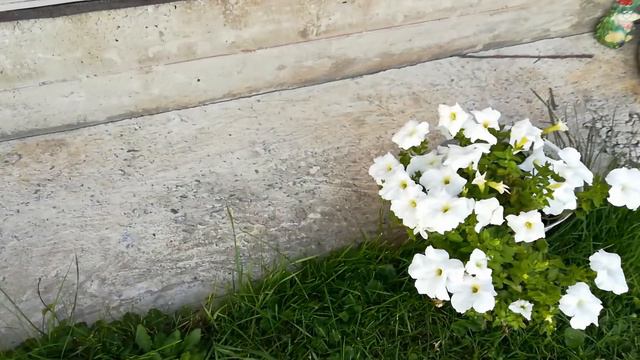 💝ДАЧА- ТУР💝МОЕЙ ПОДРУГИ💝 смотреть онлайн