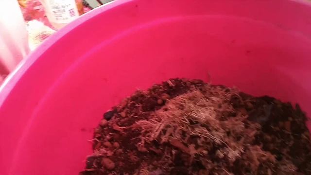 Прогулка, шоппинг, пересадка.