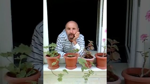 Александр Бражник автор стиха МНЕ ЕЩЕ ГОДОЧКОВ МАЛО смотреть онлайн