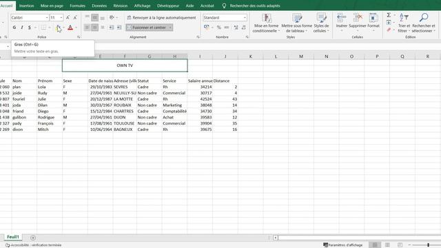 #2 Workshop Excel 2024 - Cas OWN TV - Mise en forme смотреть онлайн