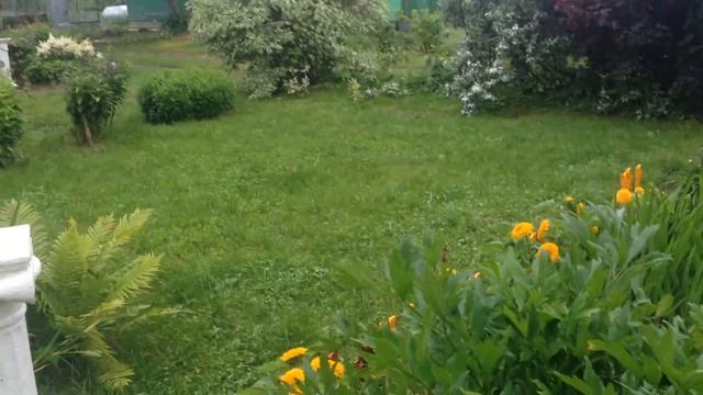 кострома наташа дача смотреть онлайн