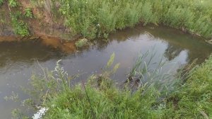 Рыбалка на микроречке (ручье)