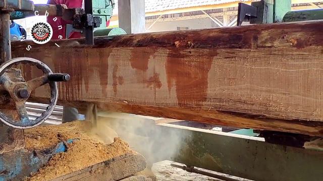Amazing || Sawing And Cutting The Hardest Wood In The World || #Sawmill