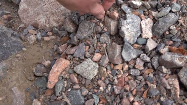 Я сразу же выкопал свои находки, когда увидел, что я нашел. смотреть онлайн