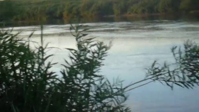 Река Дон утро смотреть онлайн