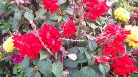 Белое адажио..mp4 смотреть онлайн