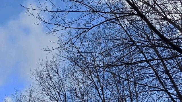 МУЖЬЯ-ТИРАНЫ. Самые деспотичные мужчины по Знаку Зодиака. смотреть онлайн