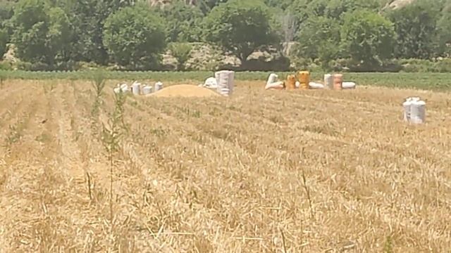 СОМОН СОТИЛАДИ КОПИ 80 СОМОН Тел +992907225067 смотреть онлайн