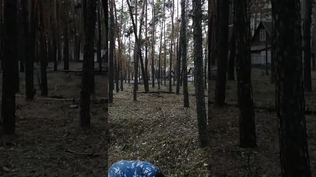 Первый коп нового камрада смотреть онлайн