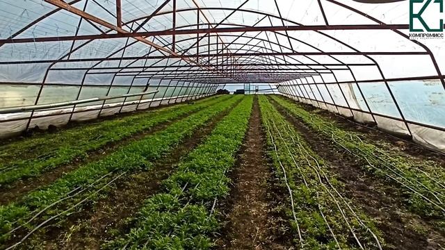 Какой бизнес можно вести в Краснодарском крае? Готовый тепличный бизнес станица Северская, обзор. смотреть онлайн