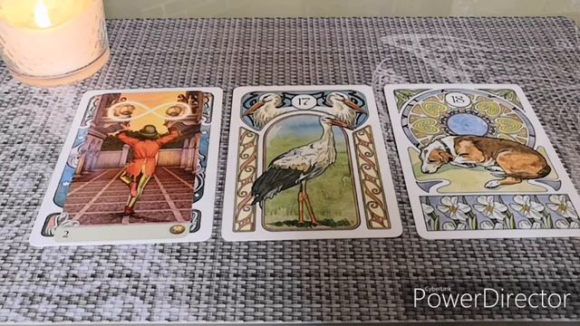 Рак! ♋️ Прогноз на 2020г! ТАРО! 36 Домов! смотреть онлайн